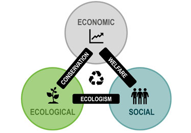 LGS Assurance Private Limited